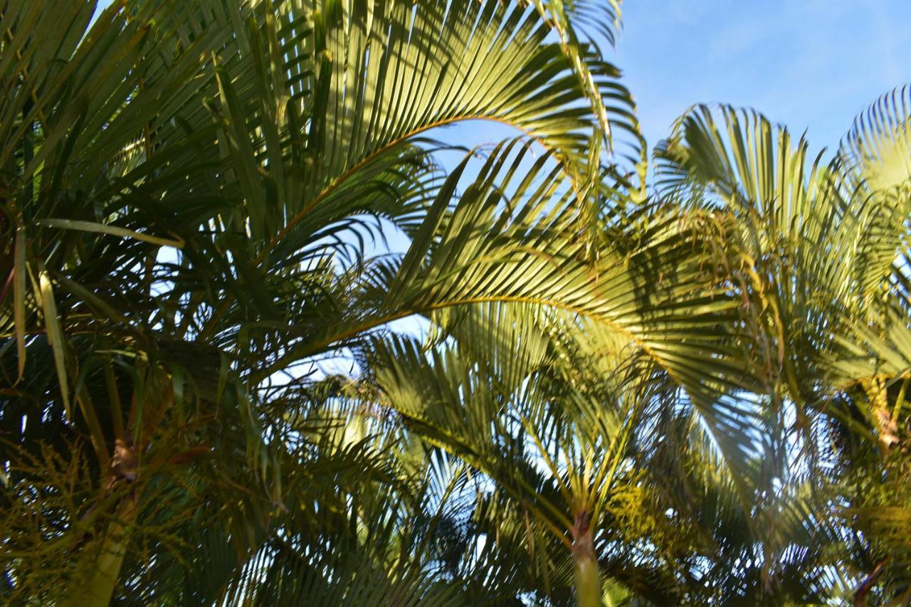 Hibiscus Center Hotel Búzios Buitenkant foto